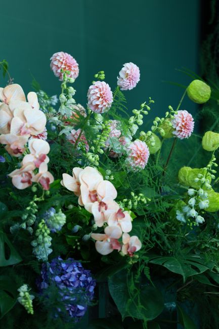 A vibrant floral arrangement featuring soft pink and cream orchids with delicate ruffled petals, complemented by pale pink spherical dahlias and small white blossoms, all set amidst lush green foliage