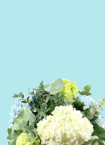 Same day Flowers Waterloo